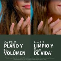 Champú Volumen Naranja 350ml-227381 Champú Volumen Naranja 350ml-227381 1